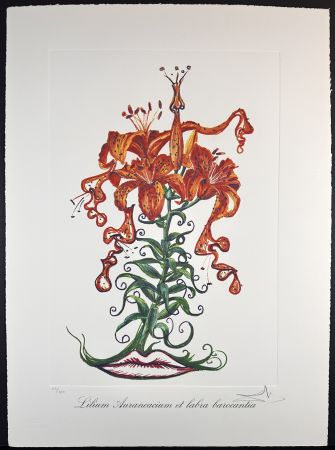 Grabado Dali - Florals Tiger Lilies of The Theatre