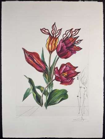 Grabado Dali - Florals Tulips Girafe en Feu
