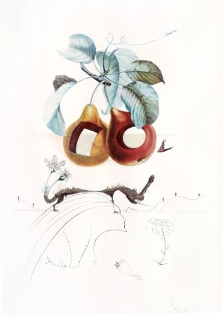 Grabado Dali - Flordali - Fruits Troués