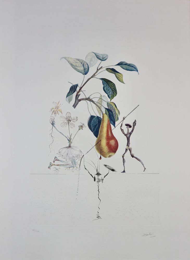 Grabado Dali - FlorDali/Les Fruits Pear