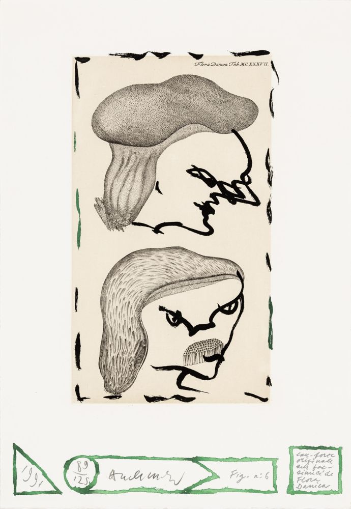 Aguafuerte Alechinsky - Flore danoise 06 - Naissance des masques