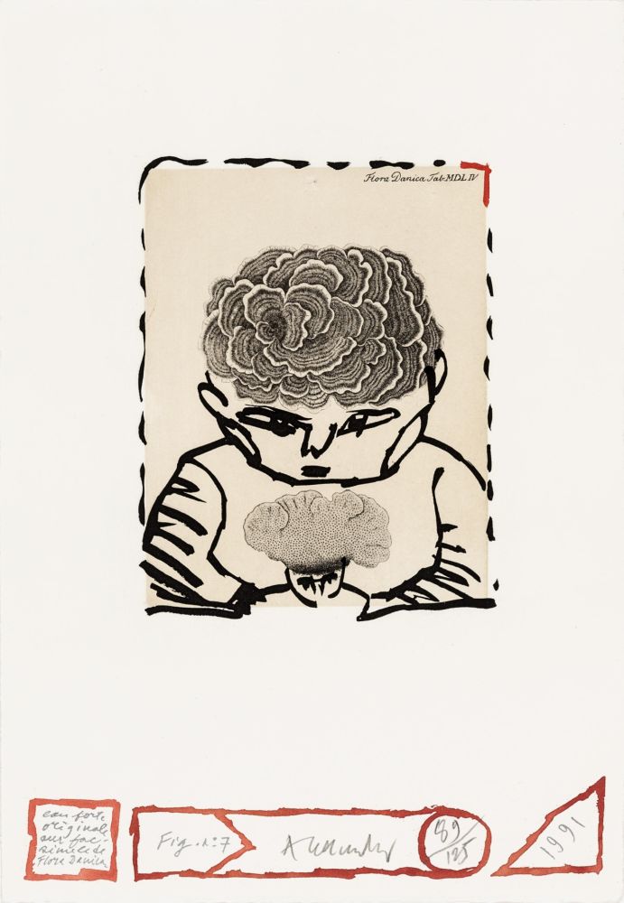 Aguafuerte Alechinsky - Flore danoise 07 - L'enfant sourcier