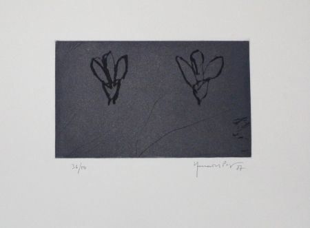 Aguafuerte Y Aguatinta Hernandez Pijuan - Flors sobre gris / Flowers on Gray