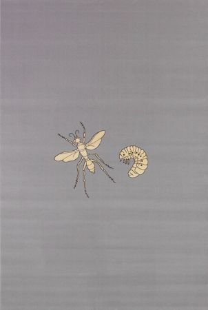 Múltiple Fabre - Fly