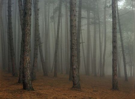 Fotografía Sitchinava - Fog in September