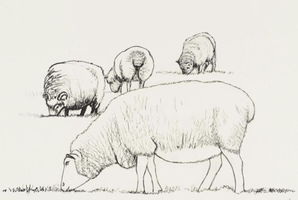 Litografía Moore - Four Sheep Grazing