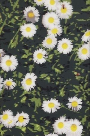 Múltiple Opie - French Landscapes: Daisies