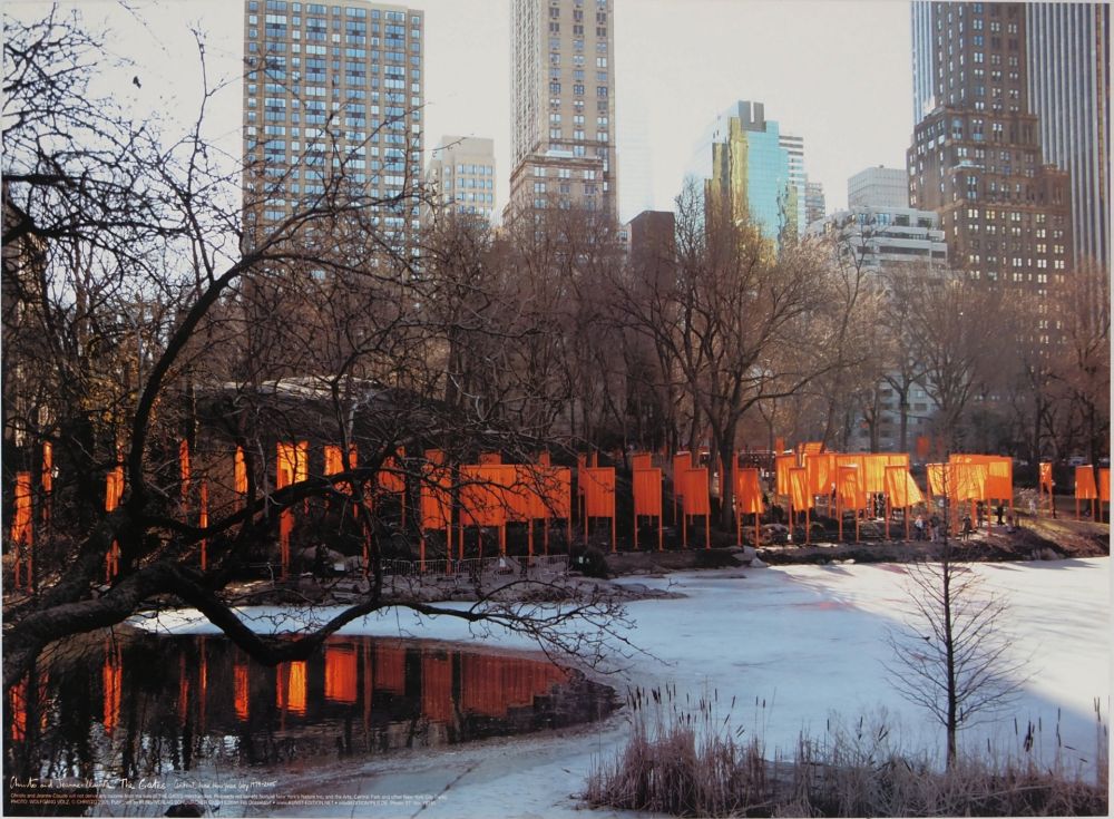 Cartel Christo - Gates near Frozen Lake, Central Park New York