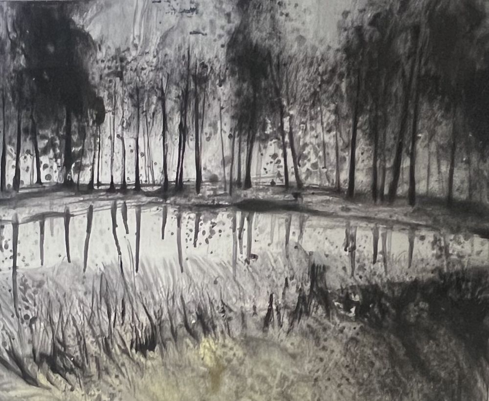 Sin Técnico Havaux - Grande Aquarelle sur papier signée Forêt