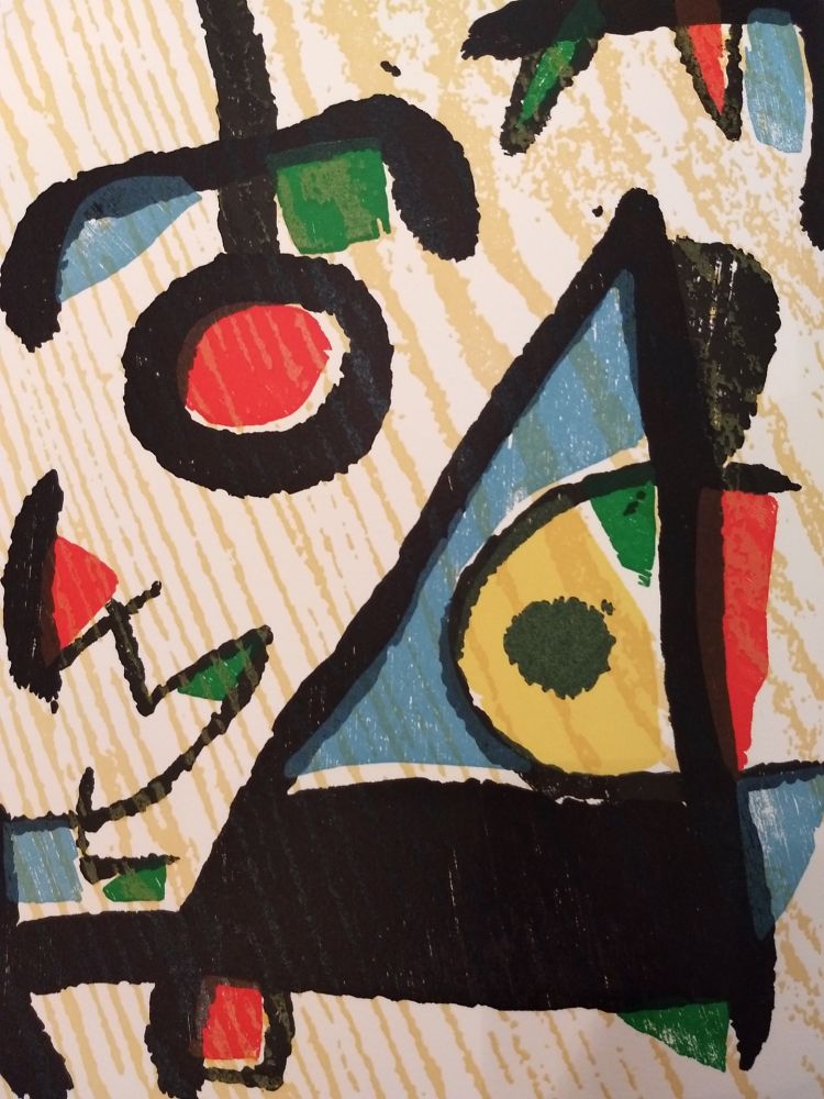 Libro Ilustrado Miró - Graveur 2