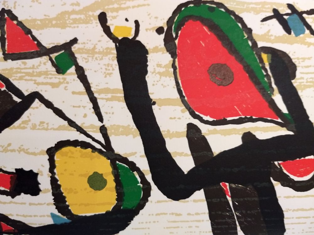 Libro Ilustrado Miró - Graveur 3