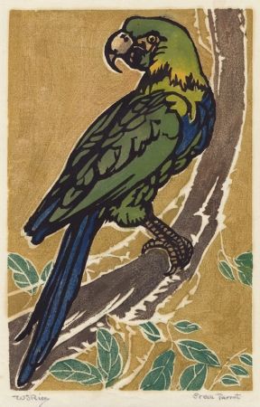 Grabado En Madera Rice - Green Parrot