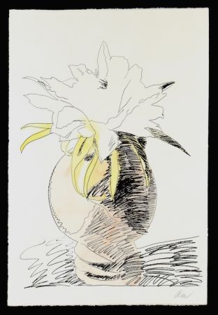 Serigrafía Warhol - Hand Colored Flowers III.114
