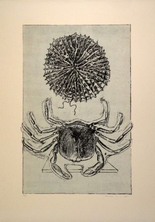 Libro Ilustrado Ernst - Histoire naturelle