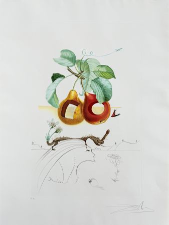 Litografía Dali - Holed Fruit from Flordali suite