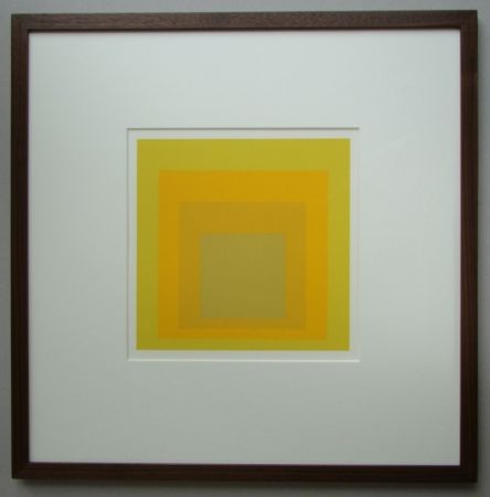 Sin Técnico Albers - Homage to the Square