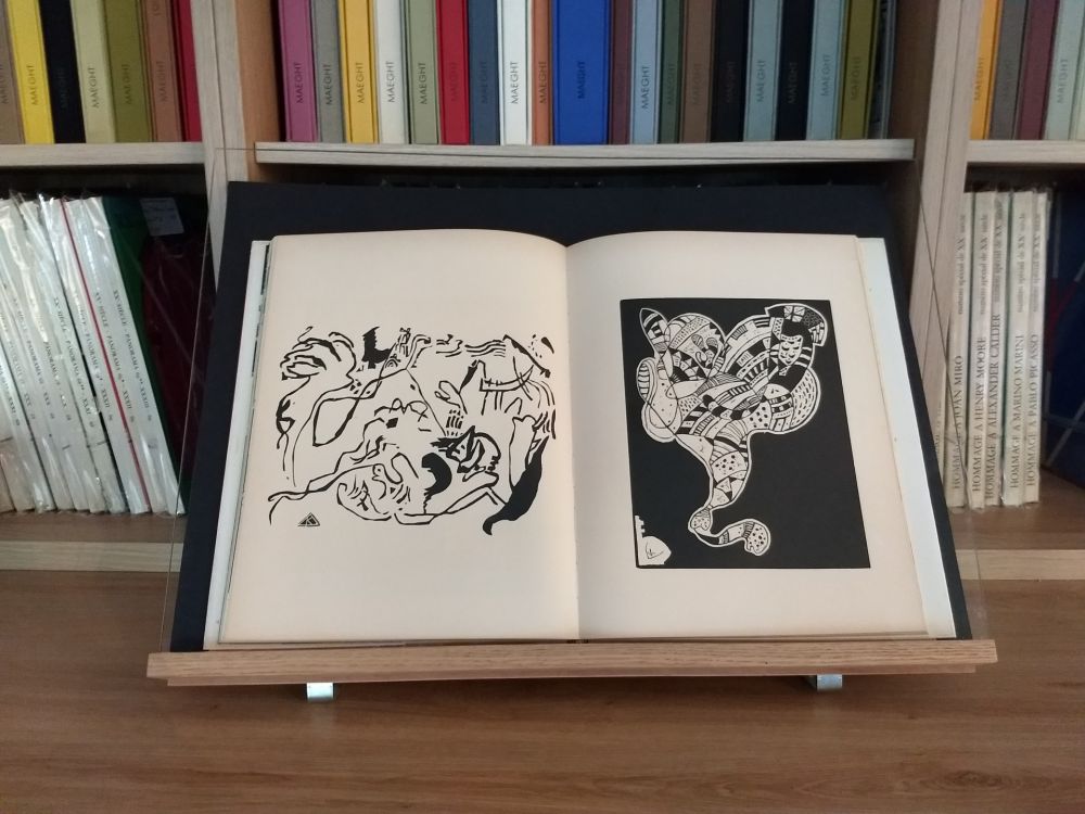 Libro Ilustrado Kandinsky - Hommage