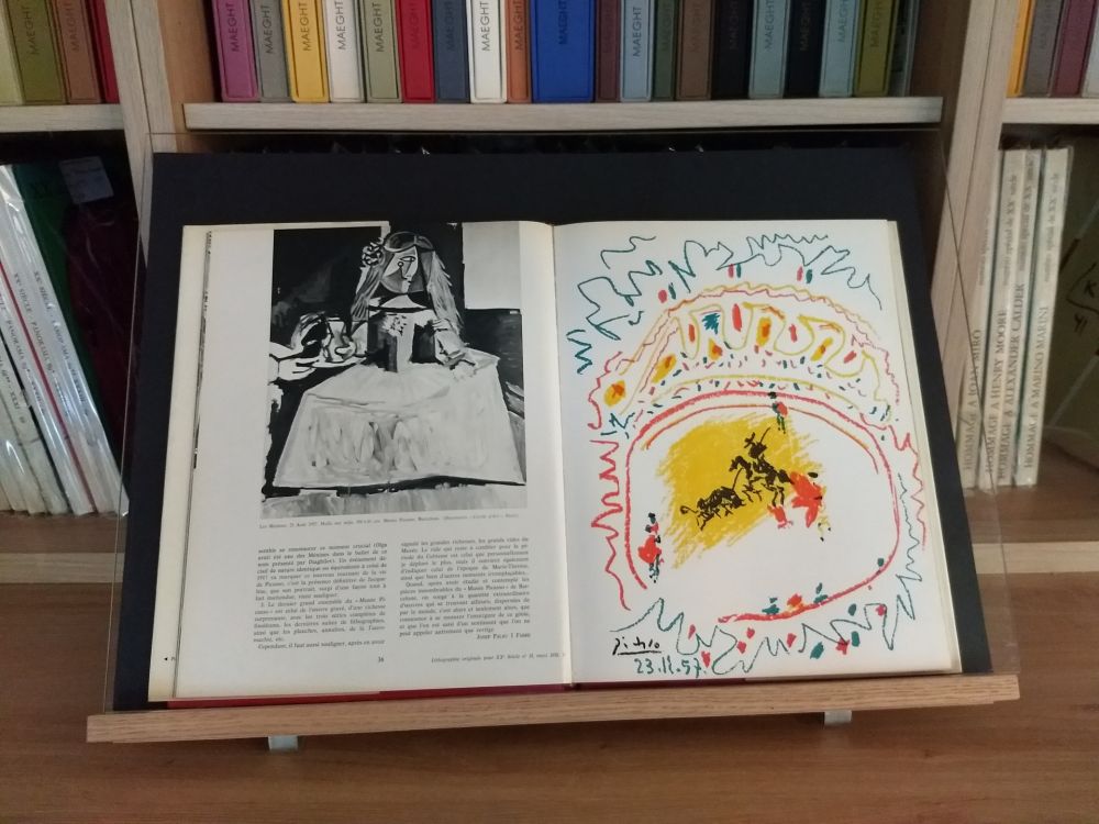 Libro Ilustrado Picasso - Hommage