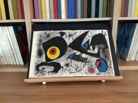 Libro Ilustrado Miró - Hommage