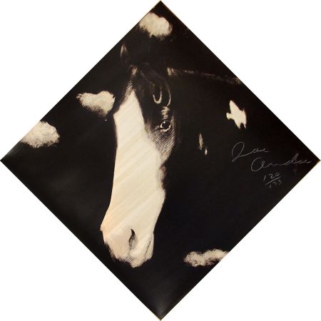 Serigrafía Andoe - Horse I