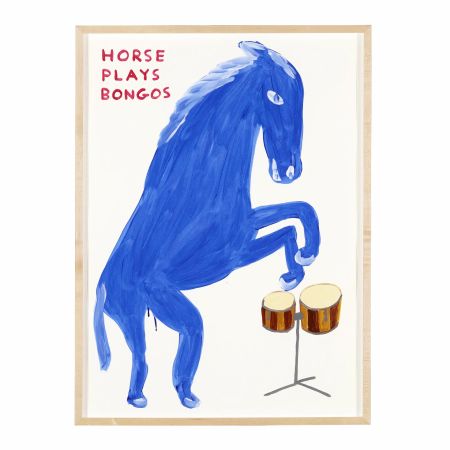 Sin Técnico Shrigley -  Horse plays Bongos