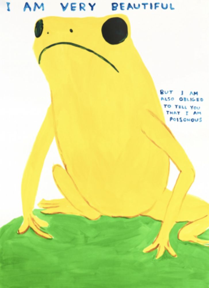 Serigrafía Shrigley - I Am Very Beautiful