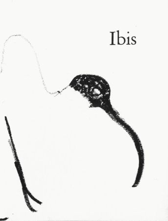 Litografía Aillaud - Ibis