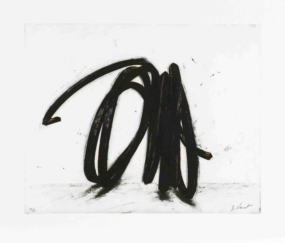 Aguafuerte Venet - Indeterminate Line II