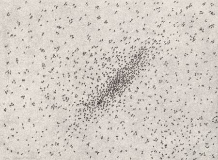 Litografía Ruscha - Insect Slants (Ants)