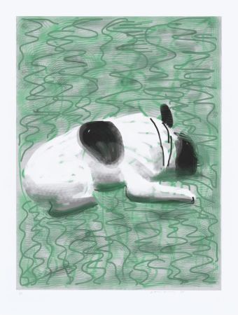 Múltiple Hockney - IPad drawing - Moujik