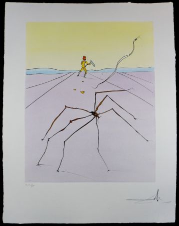 Grabado Dali - Japanese Fairy Tales The Weaver Spider