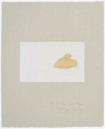 Aguafuerte Beuys - Kaninchen