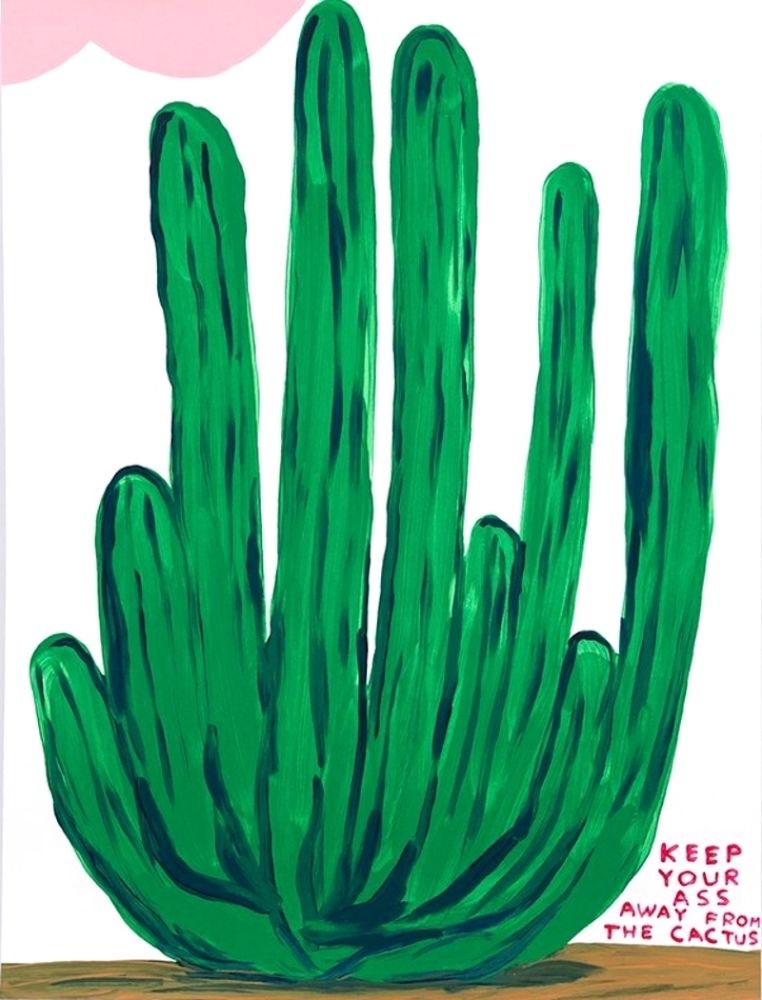 Serigrafía Shrigley - Keep Your Ass Away from The Cactus