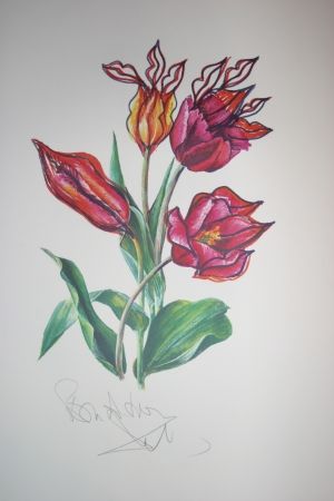 Litografía Dali - Kissing Tulips (surrealistic flowers)