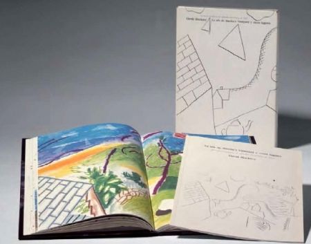 Libro Ilustrado Hockney -  La Isla de Martha Vineyard y otros lugares