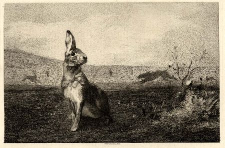 Grabado Bracquemond - La lièvre (The Hare)