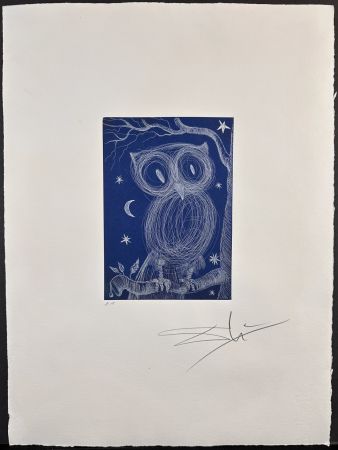 Grabado Dali - La Petite Chouette 2