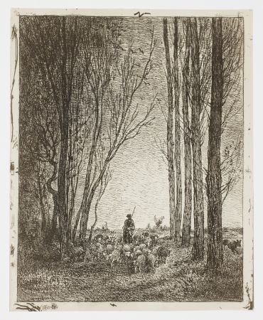 Sin Técnico Daubigny - La Rentrée du Troupeau (Return of the Flock)