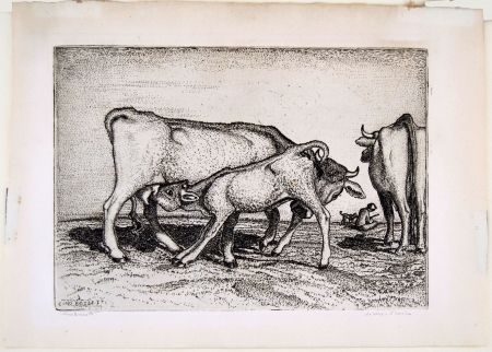 Grabado Bozzetti - LA VACCA E IL BOCCINO (The cow and the calf), fourth version. 