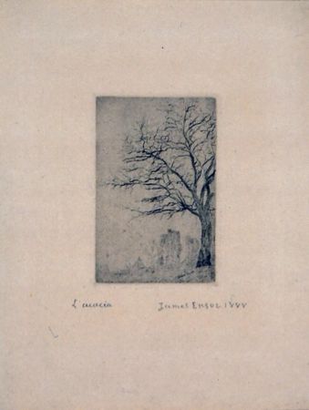 Punta Seca Ensor - L'Acacia