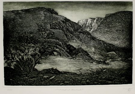 Aguafuerte Y Aguatinta Müller - Landschaft mit Strauchwerk / Landscape with Bushes