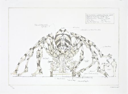 Litografía Delarozière - L'araignée géante