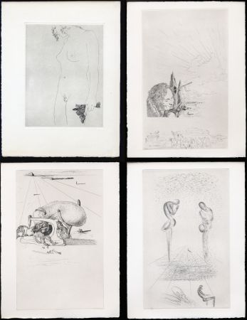 Libro Ilustrado Dali - Lautréamont : LES CHANTS DE MALDOROR. 42 eaux-fortes originales et suite. Skira 1934.