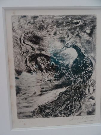 Aguafuerte Chagall - Le Geai pare des plumes  du Paon