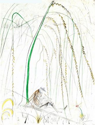 Grabado Dali - Le Saule Pleurer (Weeping Willow)