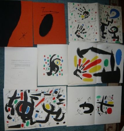Libro Ilustrado Miró - Les essences de la terre