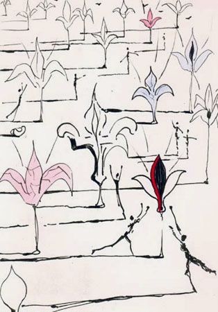 Grabado Dali - Les Fleurs
