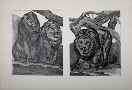 Litografía Jouve - Les Lions, 1934.