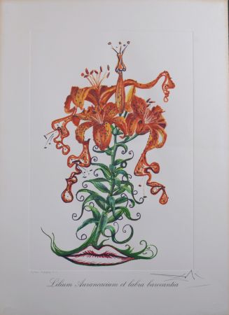 Múltiple Dali - Lilium Aurancacium et labra barocantia, 1972 - Hand-signed!