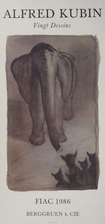 Libro Ilustrado Kubin - L'éléphant